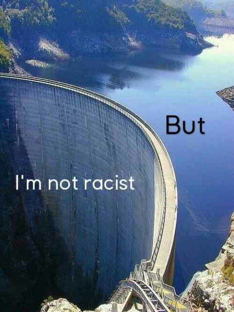 This meme is an image of a large, curved dam wall with the words "I'm not racist" and "But" superimposed on it. The text is meant to be humorous and ironic, implying that the dam wall is so curved that it's impossible to tell if it's a wall or a boat, much like how someone might use the phrase "I'm not racist" to deflect accusations of racism.
